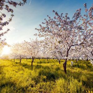 Nature Exploration 3rd-5th 3pm